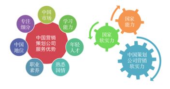 中國(guó)青年網(wǎng)發(fā)布2019年度中國(guó)十大營(yíng)銷(xiāo)策劃公司排名，南方略咨詢連續(xù)入榜領(lǐng)銜網(wǎng)絡(luò)營(yíng)銷(xiāo)策劃