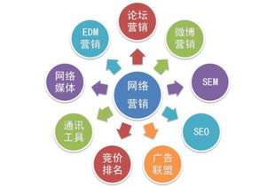 網(wǎng)絡(luò)營(yíng)銷(xiāo)與網(wǎng)絡(luò)推廣實(shí)操指南 從策劃到執(zhí)行的全流程解析